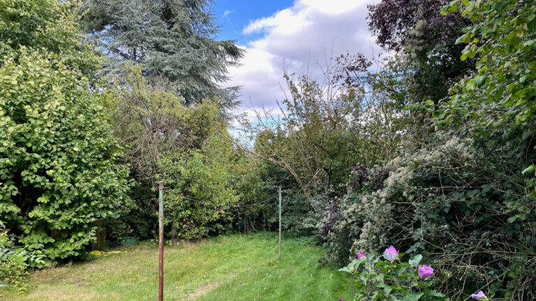 Baugrundstück in ruhiger Lage mit Altbestand